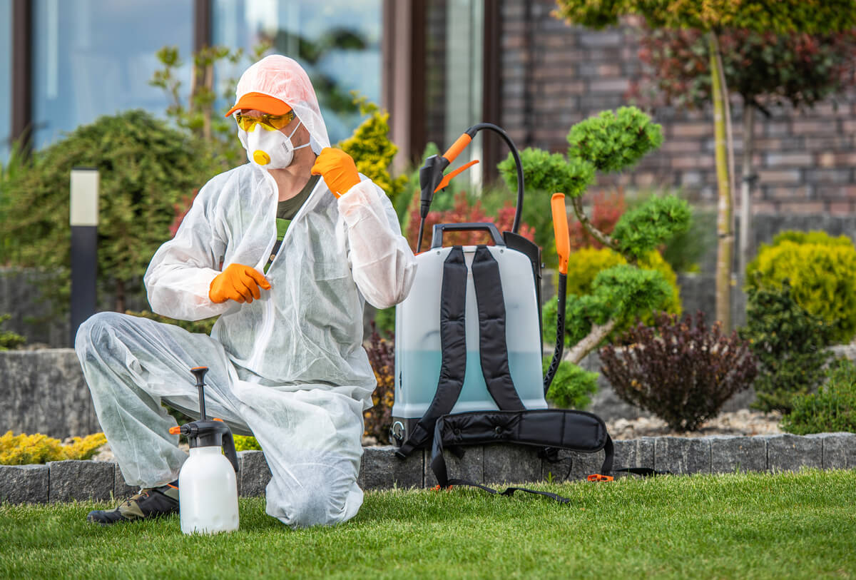 gardener preparing to insecticide garden plants 2023 11 27 05 33 14 utc